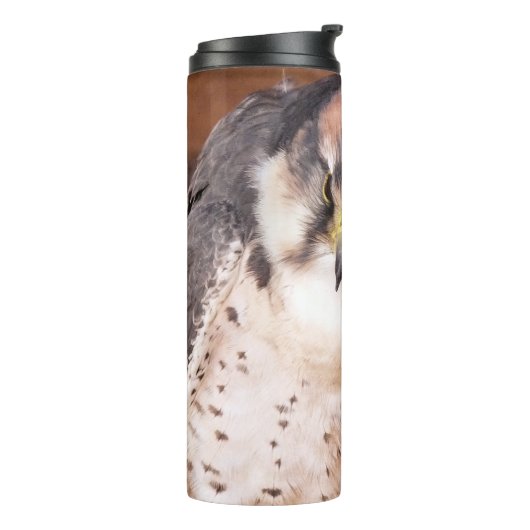 BOUTEILLES ISOTHERMES FALCON (Tourné sur la gauche)