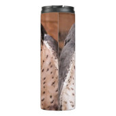 BOUTEILLES ISOTHERMES FALCON (Dos)