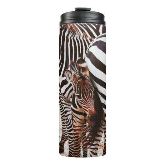 BOUTEILLES ISOTHERMES FAMILLE ZEBRA (Devant)