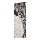 BOUTEILLES ISOTHERMES FAMILLE ZEBRA (Tourné sur la gauche)