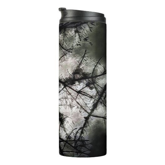 Bouteilles Isothermes Fermeture (Tourné sur la droite)