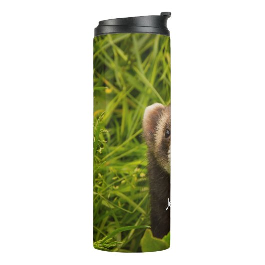 Bouteilles Isothermes Ferret Brown mignon dans l'herbe photo (Tourné sur la gauche)