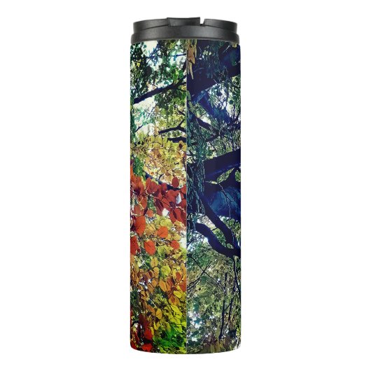 Bouteilles Isothermes Feuille orange (Dos)