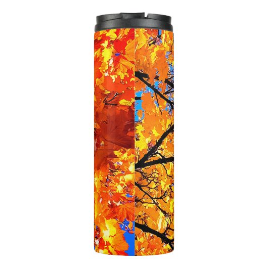 Bouteilles Isothermes Feuille orange (Dos)