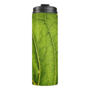 Bouteilles Isothermes Feuille verte
