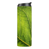 Bouteilles Isothermes Feuille verte (Tourné sur la gauche)