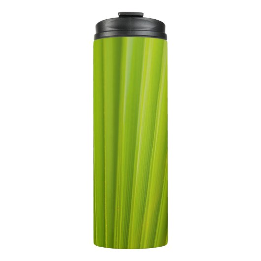 Bouteilles Isothermes Feuille verte (Devant)