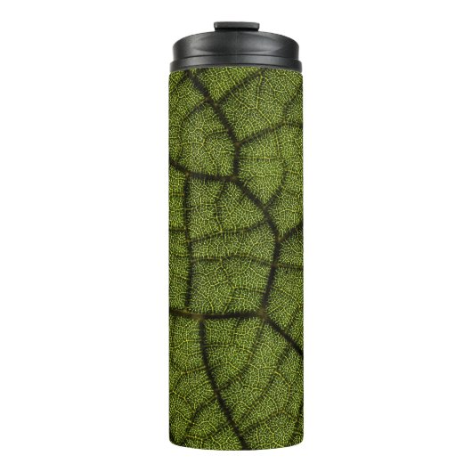 Bouteilles Isothermes Feuille verte (Devant)
