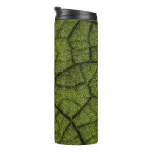 Bouteilles Isothermes Feuille verte (Tourné sur la droite)