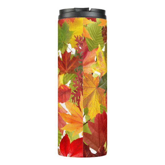 Bouteilles Isothermes Feuilles automnales d'automne (Dos)