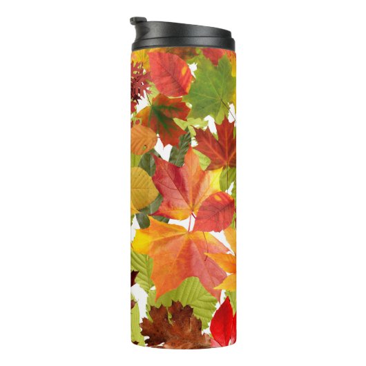 Bouteilles Isothermes Feuilles automnales d'automne (Tourné sur la droite)