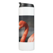 Bouteilles Isothermes Flamant rose Valentine (Tourné sur la droite)
