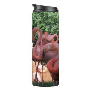 Bouteilles Isothermes Flamants roses Roses