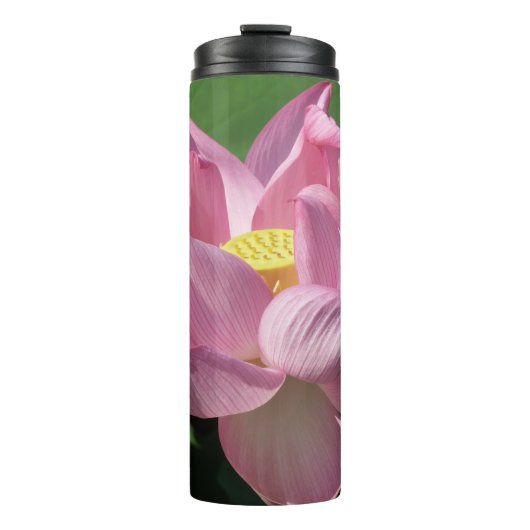 Bouteilles Isothermes Fleur de lotus rose IV (Devant)