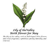 Bouteilles Isothermes Fleur du mois de naissance mai personnalisé 16 oz