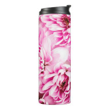 Fleur rose Chrysanthemum