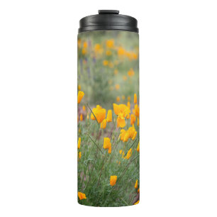 Bouteilles Isothermes fleurs sauvages beaux et parfumés poussant en tucs