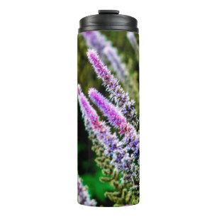 Bouteilles Isothermes Fleurs sauvages pourpres et verts