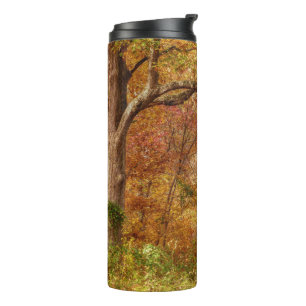 Bouteilles Isothermes Forêt d'automne