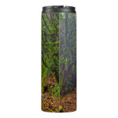 Bouteilles Isothermes Forêt moussue (Dos)