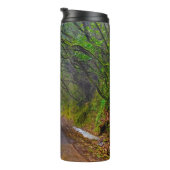 Bouteilles Isothermes Forêt moussue (Tourné sur la droite)