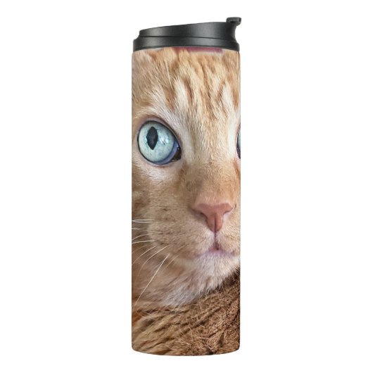 Bouteilles Isothermes Frankie (Tourné sur la gauche)