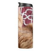 Bouteilles Isothermes Frankie (Tourné sur la droite)