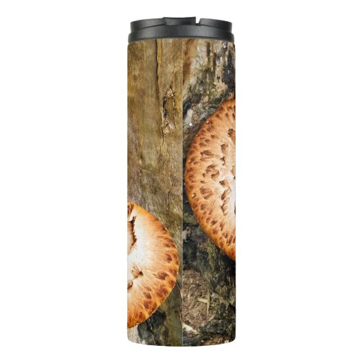 BOUTEILLES ISOTHERMES FUNGI (Dos)