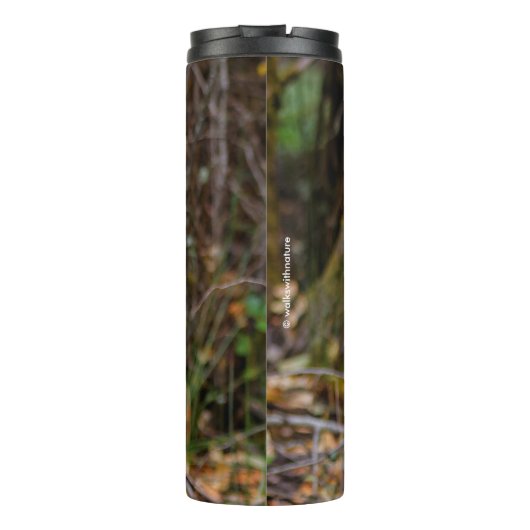 Bouteilles Isothermes Funny Young Blacktail Deer sourit à un photographe (Dos)