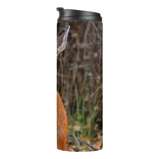 Bouteilles Isothermes Funny Young Blacktail Deer sourit à un photographe (Tourné sur la droite)