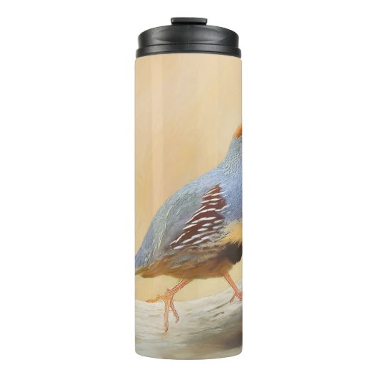 Bouteilles Isothermes Gambrel's Quail Painting Original Bird Art (Devant)