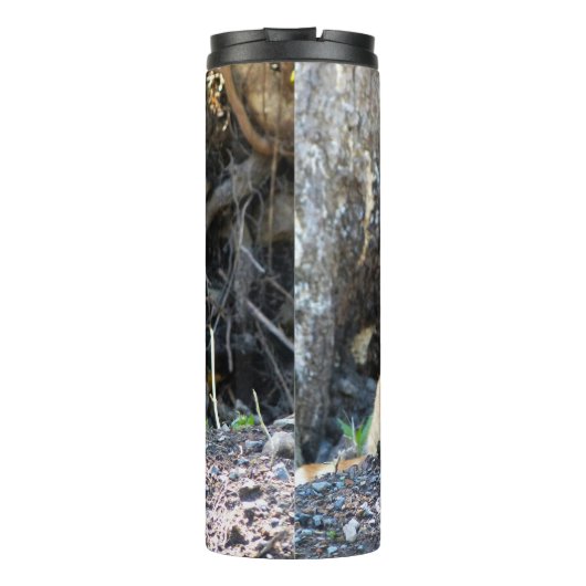 Bouteilles Isothermes Ginger Boy (Dos)