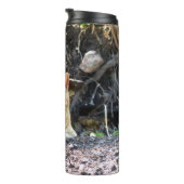 Bouteilles Isothermes Ginger Boy (Tourné sur la droite)