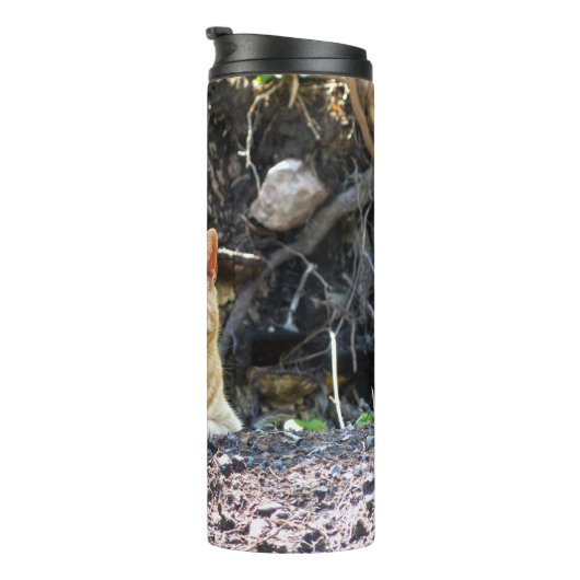 Bouteilles Isothermes Ginger Boy (Tourné sur la droite)