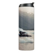 Bouteilles Isothermes Glace bleue (Tourné sur la gauche)