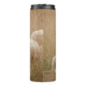 Bouteilles Isothermes Goldendoodle traverse l'herbe (Dos)