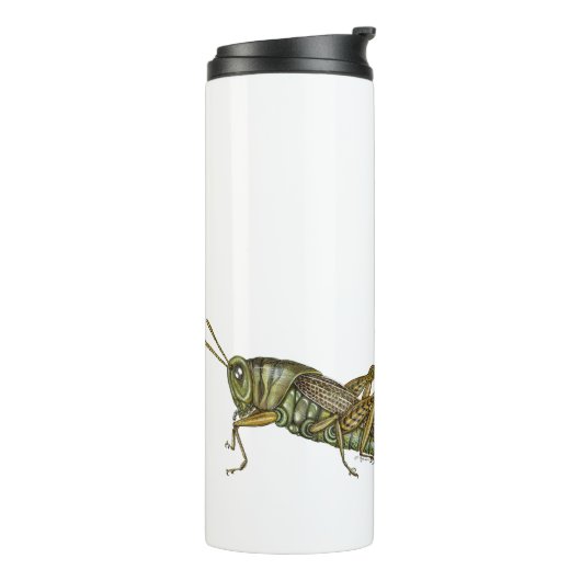 Bouteilles Isothermes Grasshopper vert (Tourné sur la gauche)