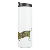 Bouteilles Isothermes Grasshopper vert (Tourné sur la droite)