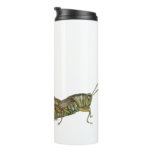 Bouteilles Isothermes Grasshopper vert (Tourné sur la droite)