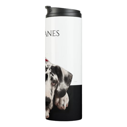 Bouteilles Isothermes Great dane (Tourné sur la droite)