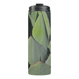 Bouteilles Isothermes Green Agave Feuille Botanique Photo Sud-ouest