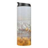 Bouteilles Isothermes Grues de Sandhill (Tourné sur la droite)