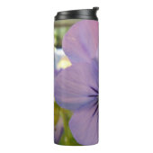 Bouteilles Isothermes Haetzlern (Tourné sur la gauche)