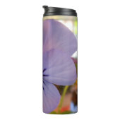 Bouteilles Isothermes Haetzlern (Tourné sur la droite)