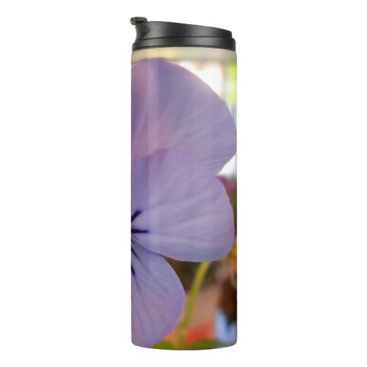 Bouteilles Isothermes Haetzlern (Tourné sur la droite)