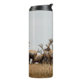BOUTEILLES ISOTHERMES HERBE DE CERF (Tourné sur la gauche)