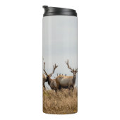 BOUTEILLES ISOTHERMES HERBE DE CERF (Tourné sur la droite)