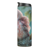 Bouteilles Isothermes Hibou rose (Tourné sur la droite)