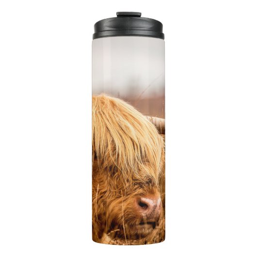 BOUTEILLES ISOTHERMES HIGHLAND CATTLE (Devant)