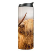 BOUTEILLES ISOTHERMES HIGHLAND CATTLE (Tourné sur la gauche)